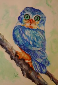 blue owl