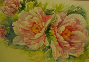 peony