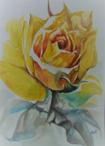 yellow rose