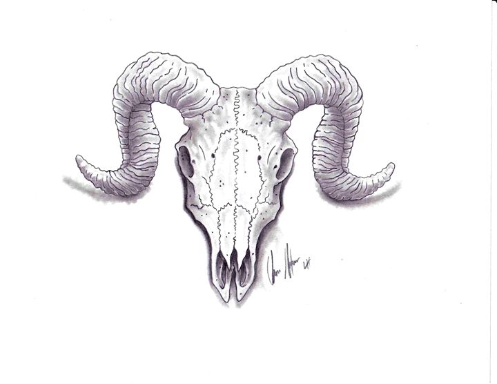 Ram skull - Studio Hansen