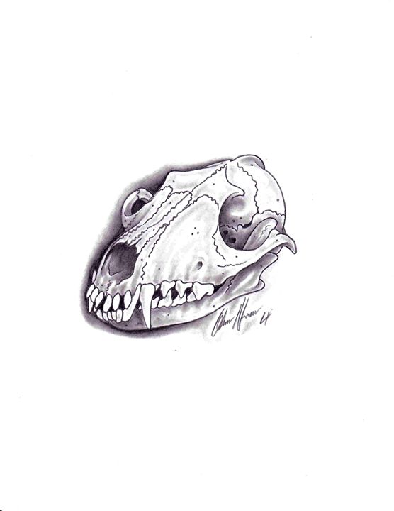 Dog skull - Studio Hansen
