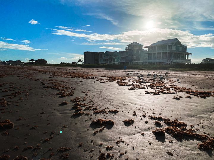 Jamaica Beach, Texas BlazingBlu Arts & Photography Photography