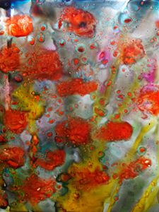 Poppies in the sky - Le Aly di Lia di Donatella Marraoni