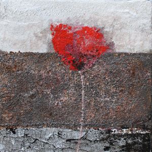 Solitary Poppy - Le Aly di Lia di Donatella Marraoni