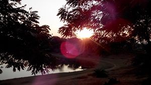 Sunset Lens Flare