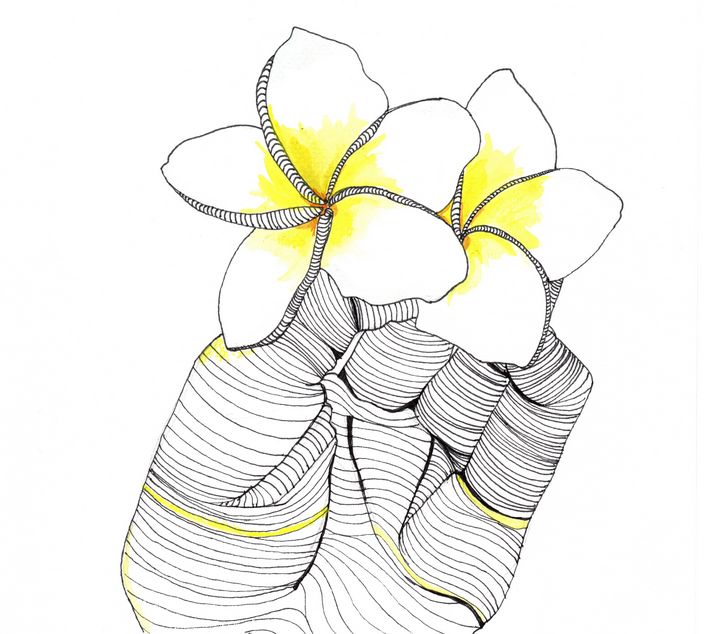 460+ Champa Flower Stock Illustrations, Royalty-Free Vector Graphics & Clip  Art - iStock