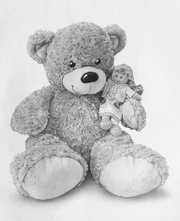 Image Details ING_49135_23896 - Teddy bear sketch. Drawing on a white  background