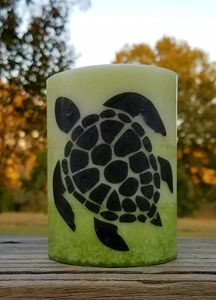 Sea Turtle - Endless Expressions