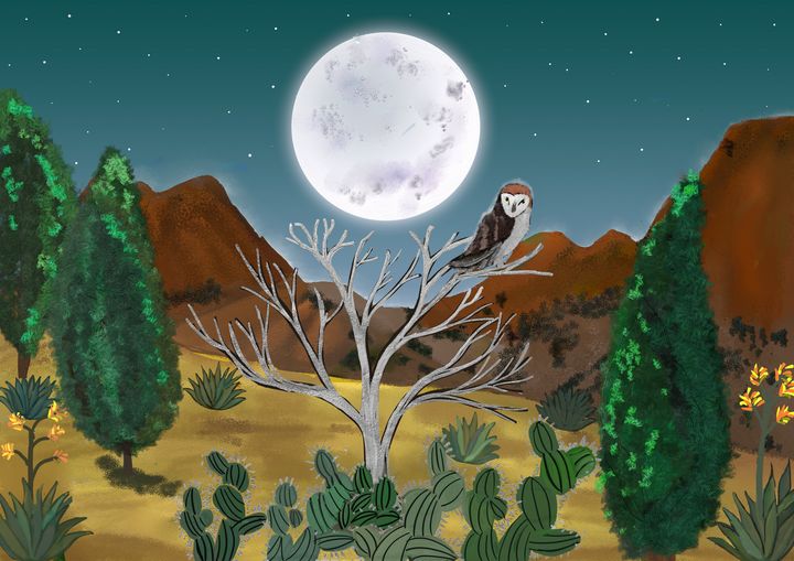 Desert Moon - Chillax Art