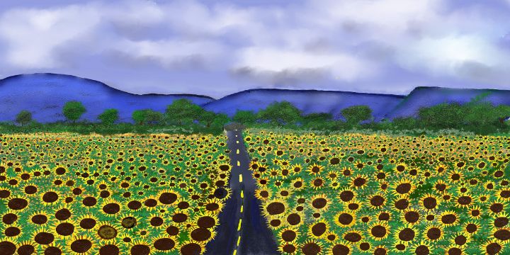 Sunflower Field - Chillax Art