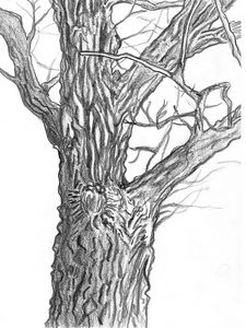 Carrie Renee - Drawings & Illustration, Paintings & Prints