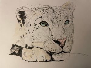 Snow Leopard dreams