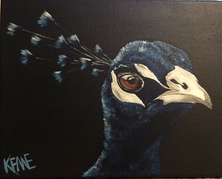 Peacock - K Fane Paints - Paintings & Prints, Animals, Birds, & Fish ...