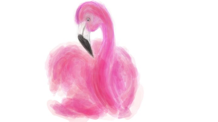 Flamingo - artbbeem