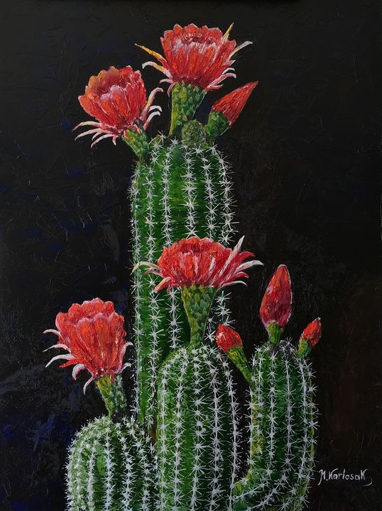 Desert Bloom 2 Mariakarlosakart Paintings Prints Flowers Plants Trees Plants Cactus Cacti Artpal