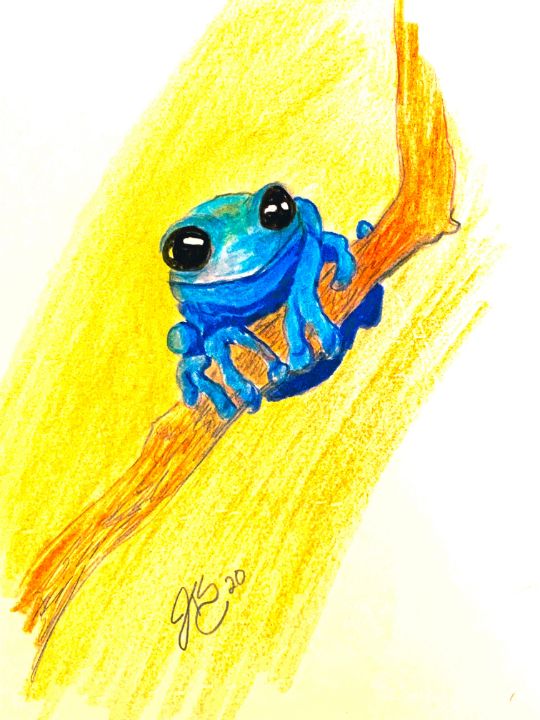 Blue frog - Art By Jennifer Spettigue Thomas - Drawings & Illustration ...