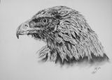 eagle artwork