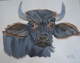 buffalo painting