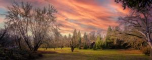 Sunset Meadow - Tony Kay Photography