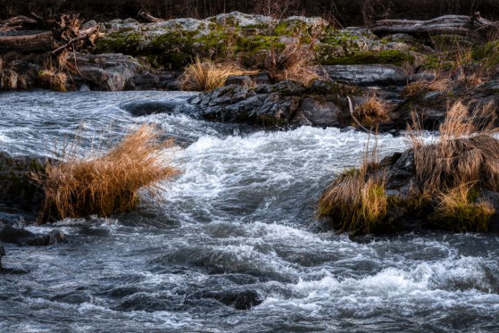 The Rogue River Upclose - Tony Kay Photography