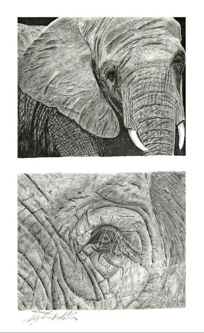 Andaman Tattoo Studio karon beach  tattoo tattoodesigns lion elephant  eye drawing By pond  Facebook