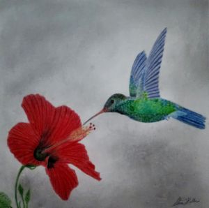 Hummingbird