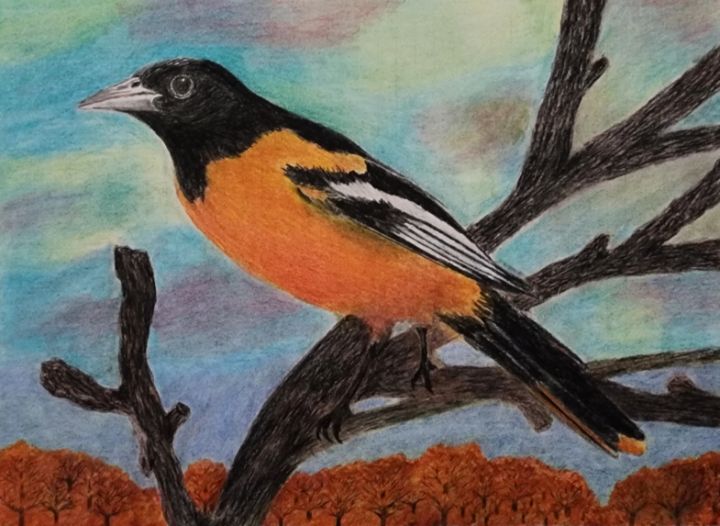 Baltimore Oriole - Steve Keller