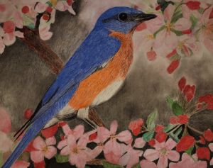 Bluebird