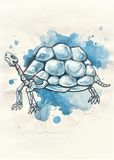 A4 Skeleton Tortoise