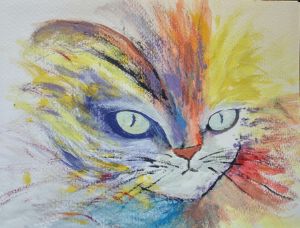 Cat - Alexis