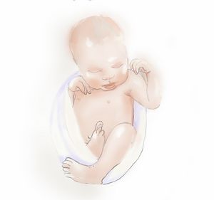 Swaddled Baby Line Art  Simple Newborn Baby Drawing HD Png Download   Transparent Png Image  PNGitem