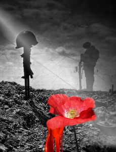 In the field of honor the poppies... - imaginart