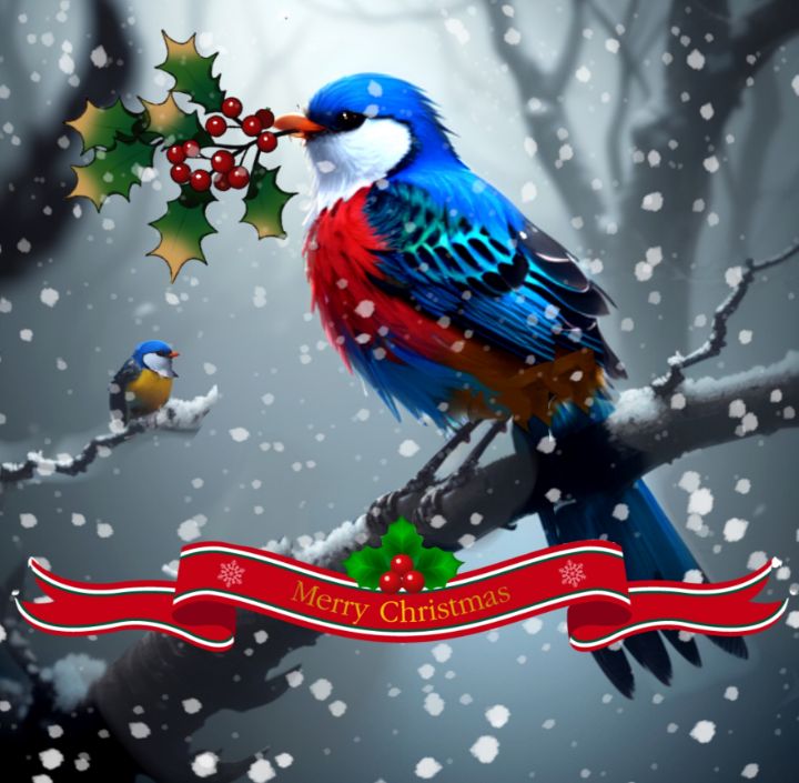 Merry Christmas birds - imaginart - Paintings & Prints, Holidays &  Occasions, Christmas, Christmas Joy - ArtPal