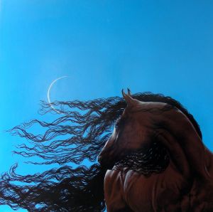 lThe Stallion and the Dark Moon - Steve Brumme Woker