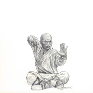 Shaolin Fist - Steve Brumme Woker