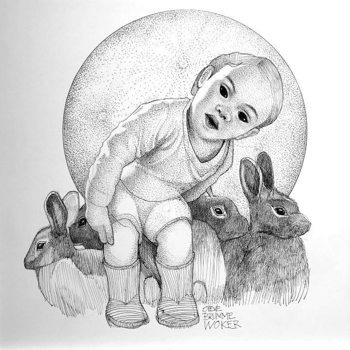 The Year of the Rabbit - Steve Brumme Woker