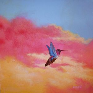The Red Belly Humming Bird - Steve Brumme Woker