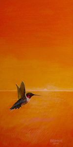 The Red Gill Humming Bird - Steve Brumme Woker