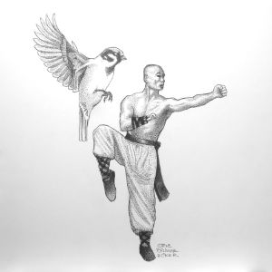 Shaolin Monk and the Sparrow: Hook - Steve Brumme Woker