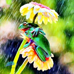 Cute colorful baby frogs - LAS - Digital Art, Animals, Birds, & Fish,  Reptiles & Amphibians, Frogs & Toads - ArtPal