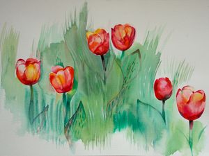 Tulips in the grass