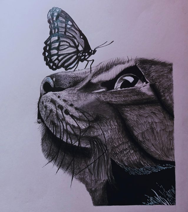 Cat And Butterfly Pencil Art - Deepa paintings - Drawings & Illustration,  Animals, Birds, & Fish, Cats & Kittens, Other Cats & Kittens - ArtPal