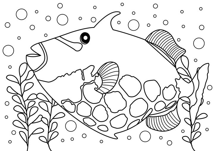 Trigger Fish Coloring Page - Clyde C