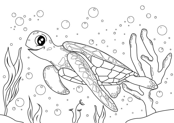 Turtle Coloring Page - Clyde C