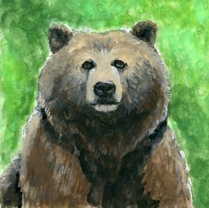 Koala Bear - JB Creative - Paintings & Prints, Animals, Birds, & Fish,  Bears, Other Bears - ArtPal