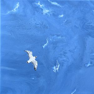 Gull View