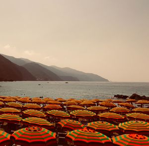 Umbrella Field #1