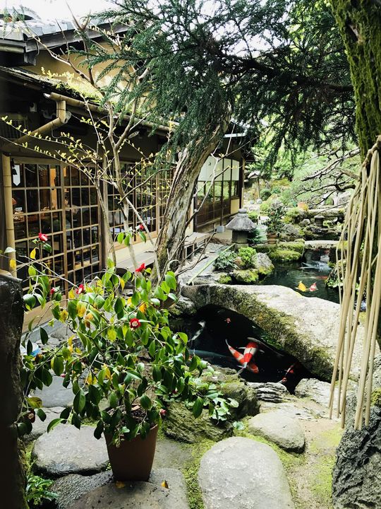 Zen garden, 2018 - ANNA LEVESH