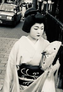 Young Apprentice Geisha N.2, 2018