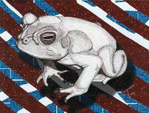 Frog Sticker - Hannah Cha Art - Digital Art, Animals, Birds, & Fish,  Reptiles & Amphibians, Frogs & Toads - ArtPal